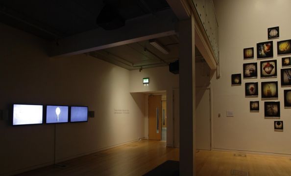 Magnetic Atlas Tracey Holland