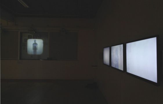 Magnetic Atlas Tracey Holland