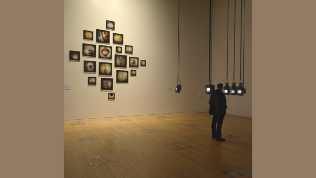 Magnetic Atlas Tracey Holland