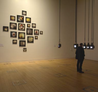 Magnetic Atlas Tracey Holland