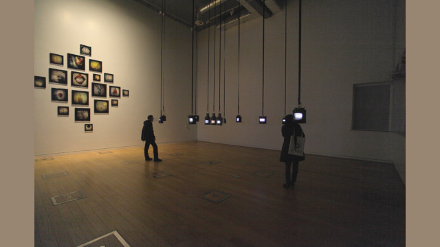 Magnetic Atlas Tracey Holland